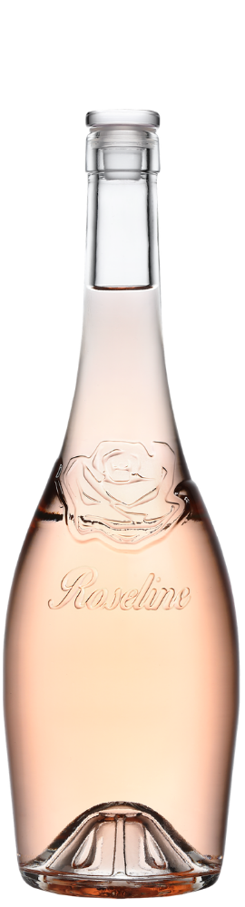 Roseline Prestige Rose 2025