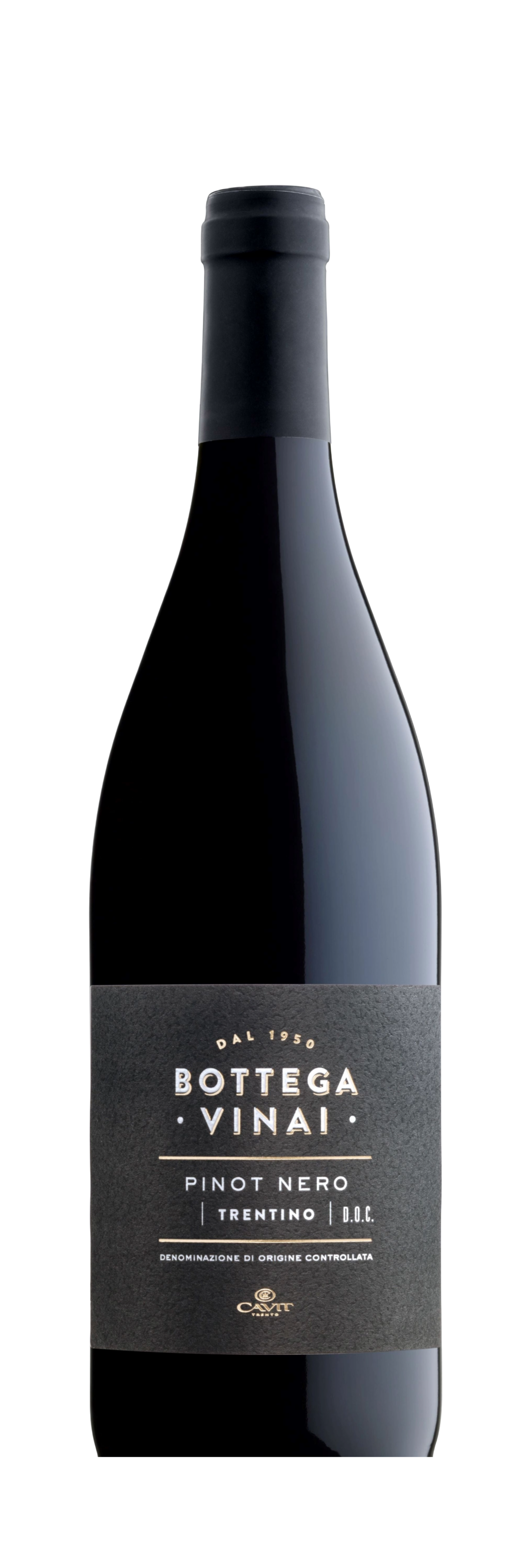 Bottega Vinai Trentino Pinot Nero 2021