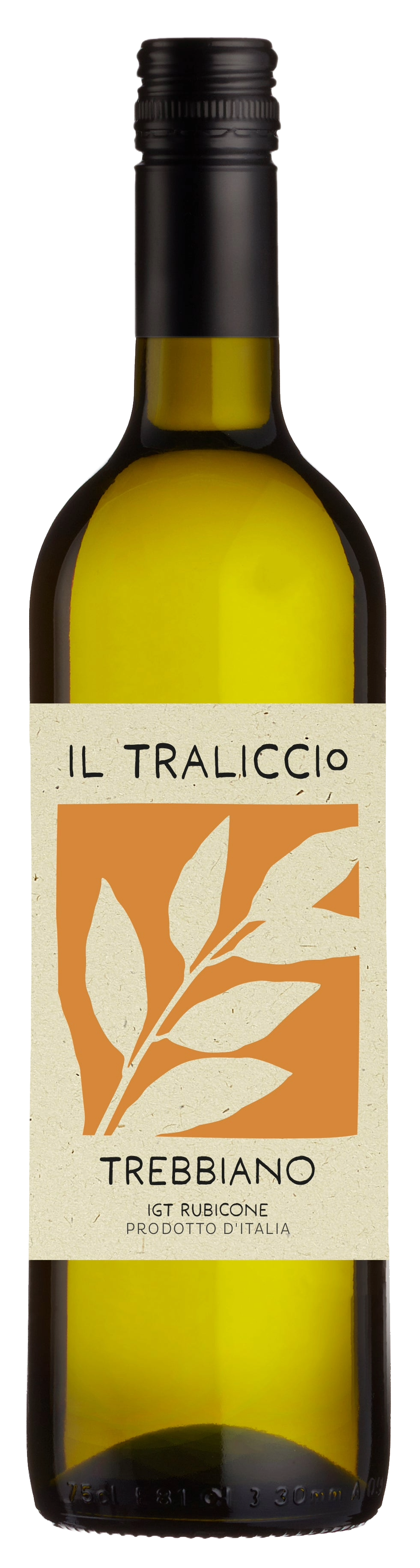 Il Traliccio Trebbiano IGT Rubicone 2022