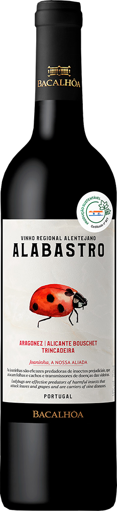 Alabastro Tinto 2021