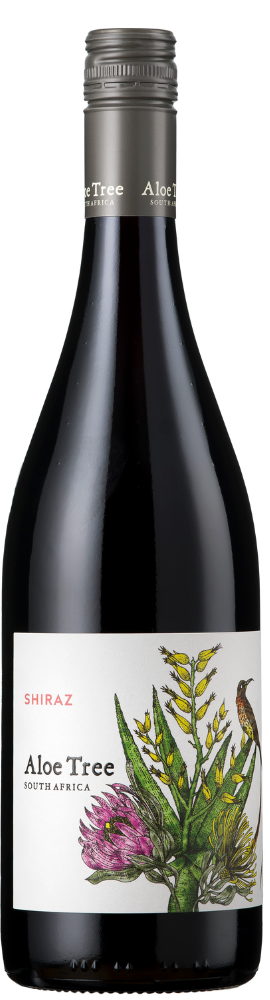 Aloe Tree Shiraz 2024