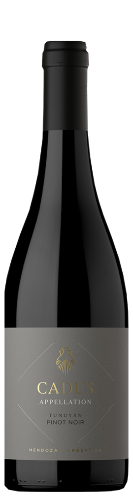 Cadus Tunuyan Pinot Noir 2022