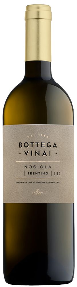 Bottega Vinai Trentino Nosiola 2024
