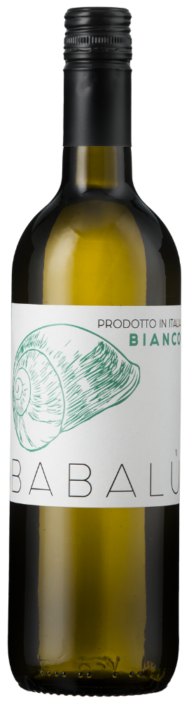 Babalu Bianco, Sicily 2024
