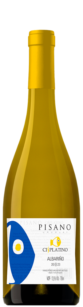 Pisano Cisplatino Albarino 2025